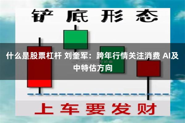 什么是股票杠杆 刘奎军：跨年行情关注消费 AI及中特估方向