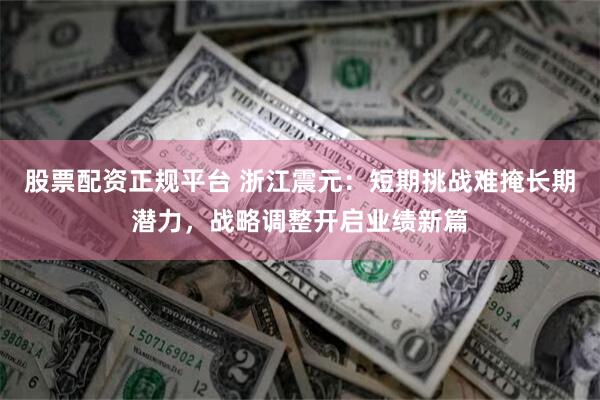 股票配资正规平台 浙江震元：短期挑战难掩长期潜力，战略调整开启业绩新篇